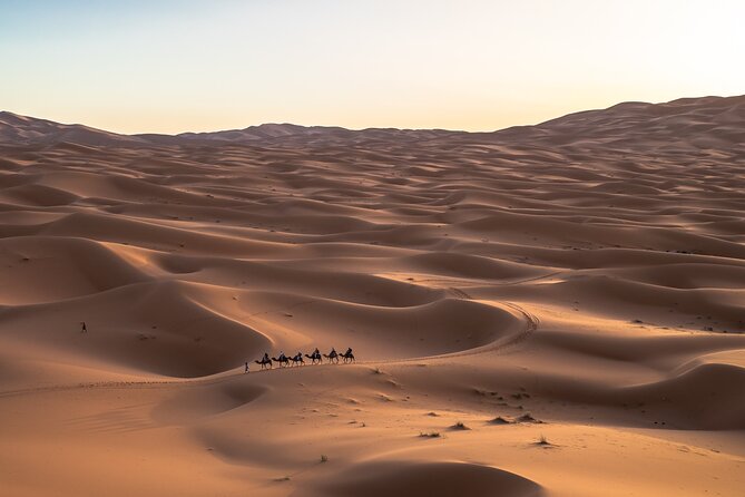 A vast, golden desert landscape at dusk.